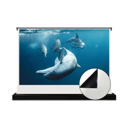 telon de piso a techo (2)