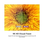 telon de piso a techo