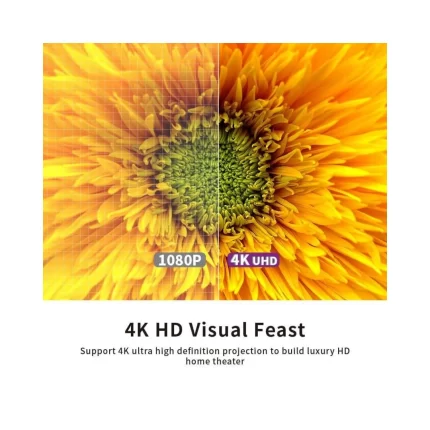 telon de piso a techo